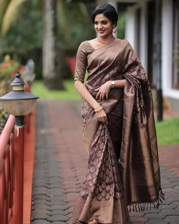 Brown_Embellished_Banarasi_Jacquard_Saree_(Brown)